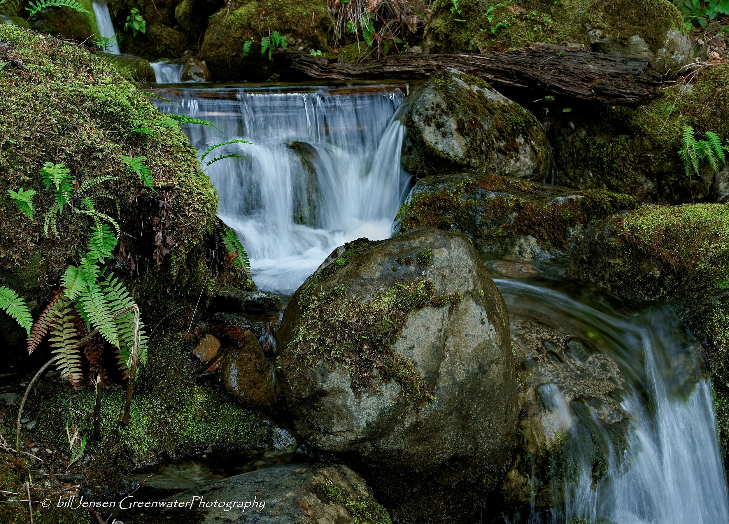 Copper Creek