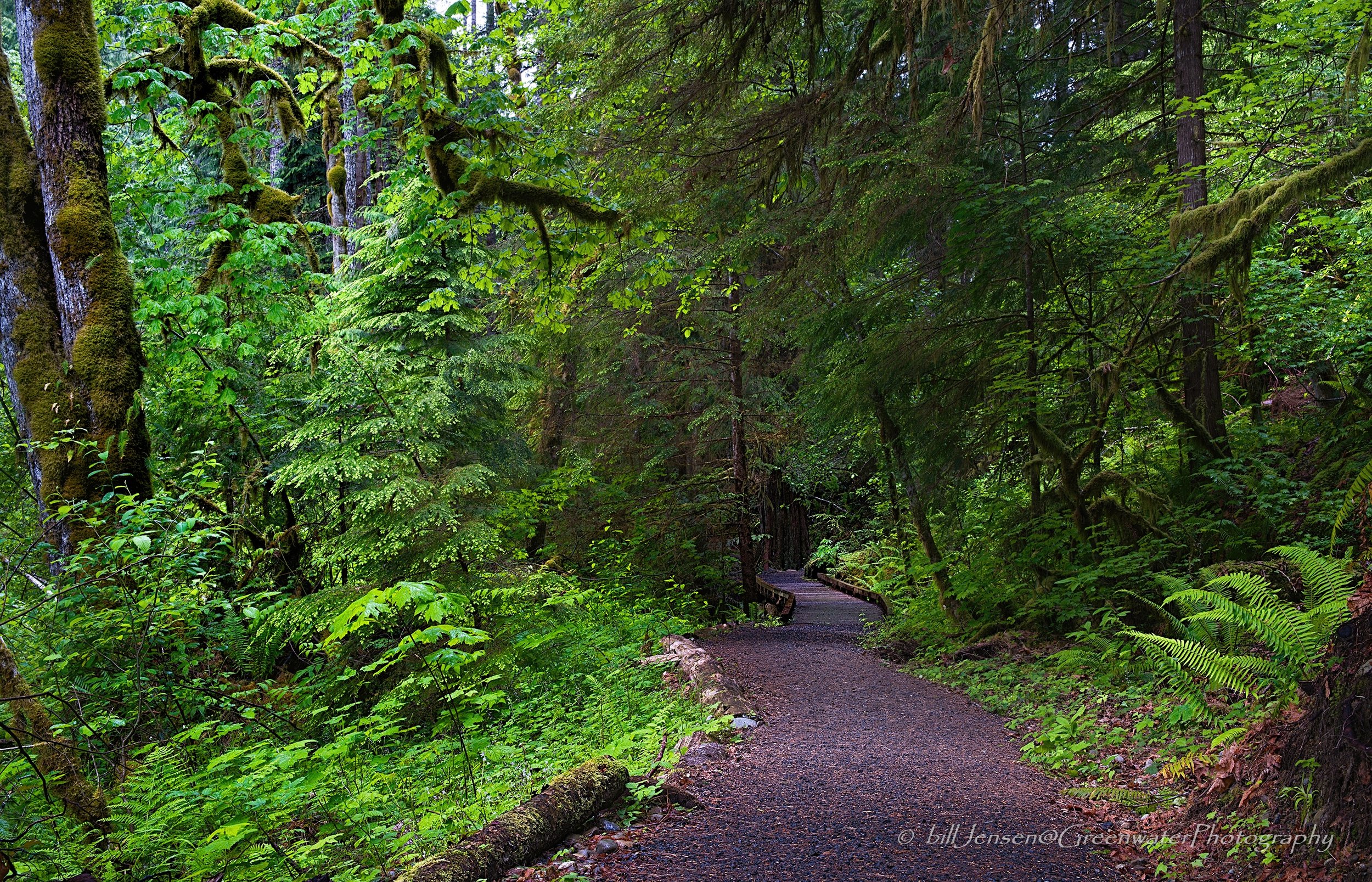 Big Creek Loop Trail