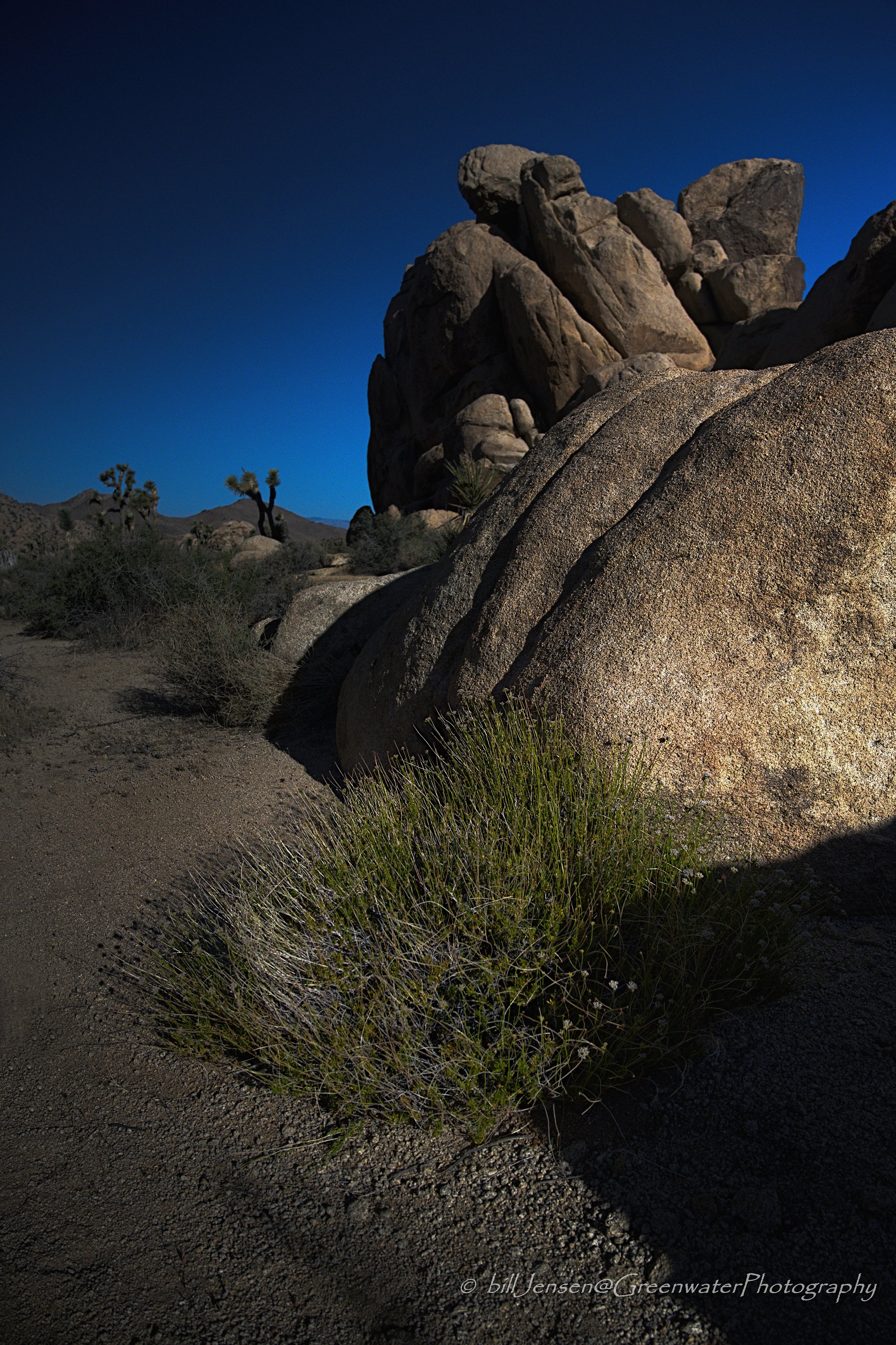 Joshua Tree National Park