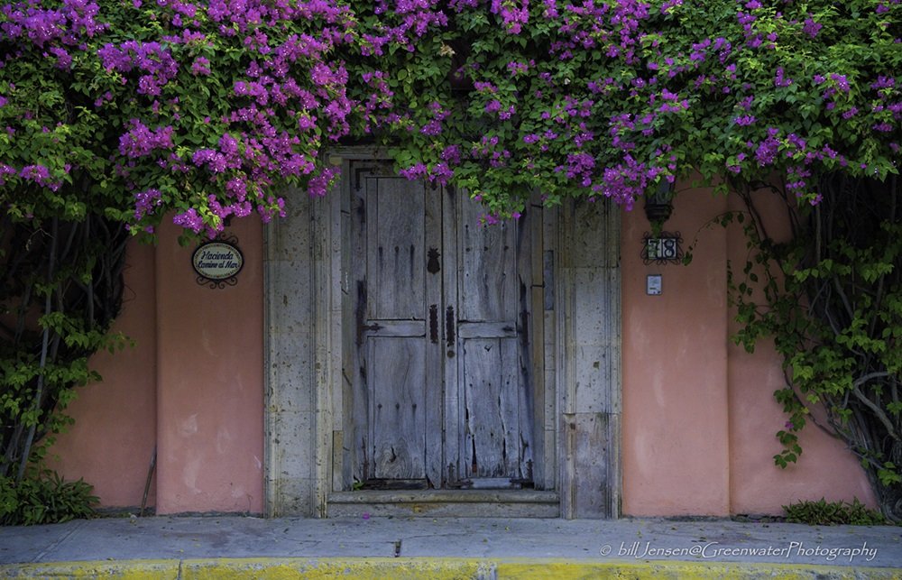 Hacienda Door