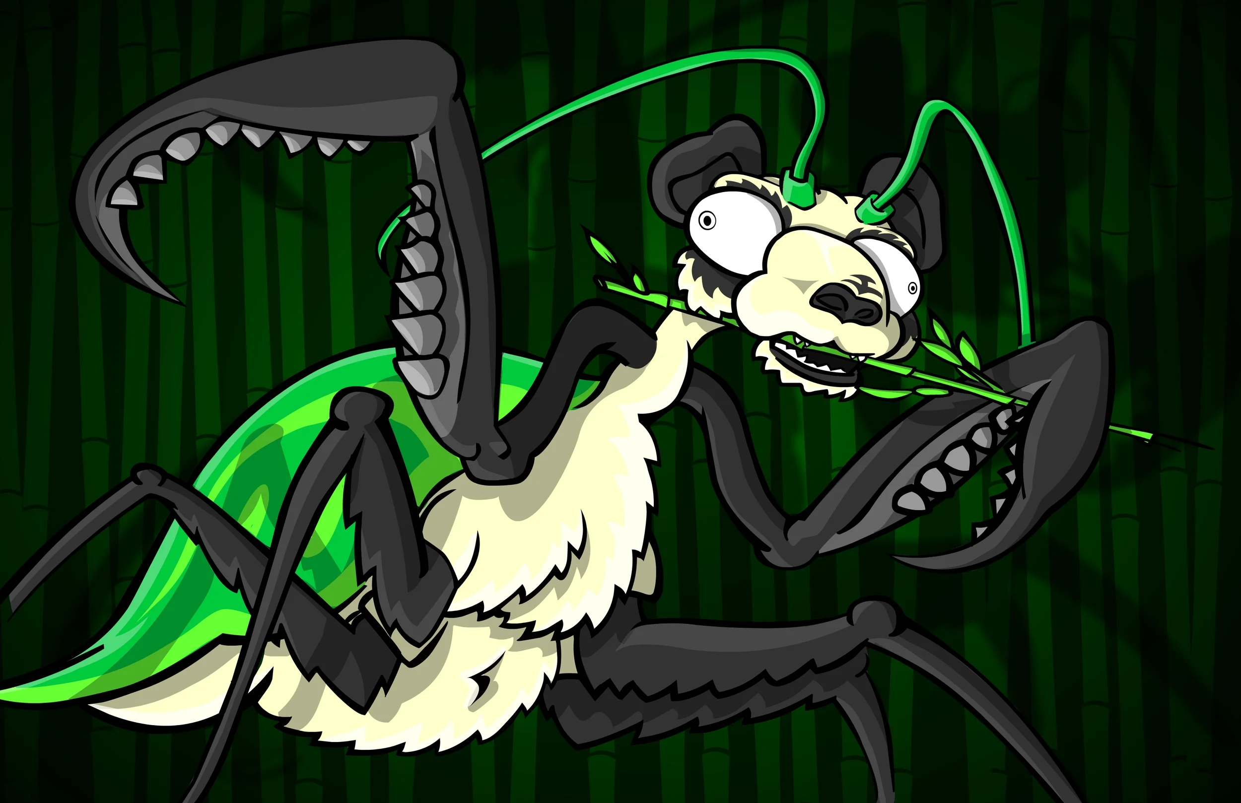 Panda Mantis