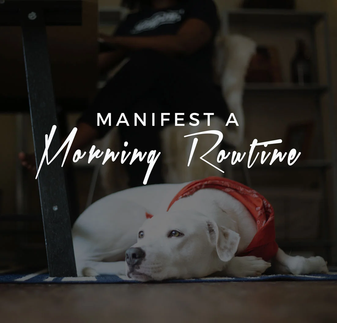 Manifesting A Morning Ritual 