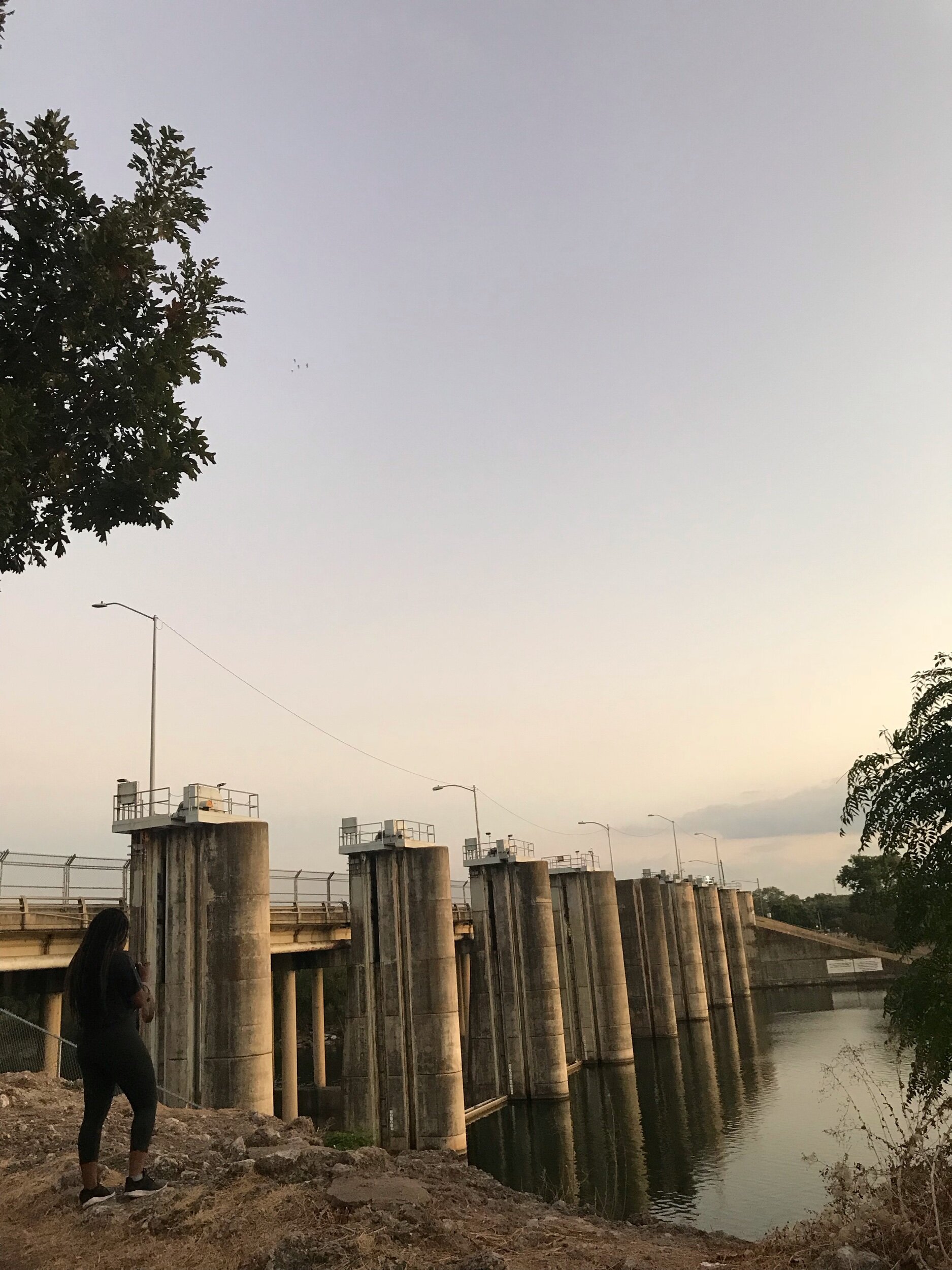 IMG_1511.jpeg