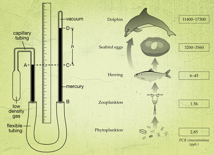 TPR-science-illustration-1.jpg