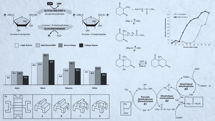 TPR-science-illustration-2.jpg