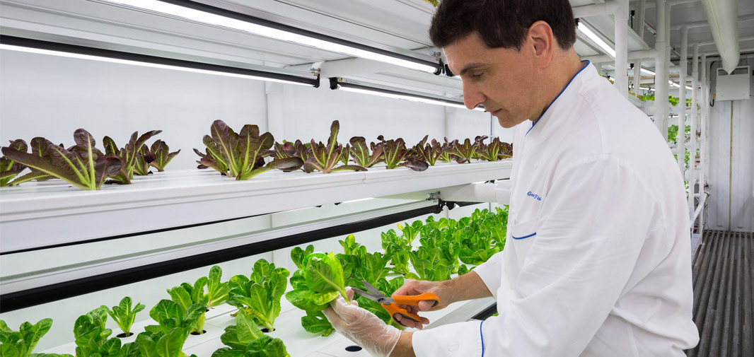 Repurposed Shipping Container Equivalent to One-Acre Farm