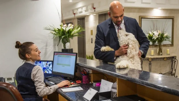 Christchurch opens it’s first pet-friendly hotel