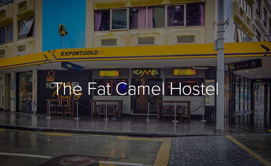Fat-Camel.jpg