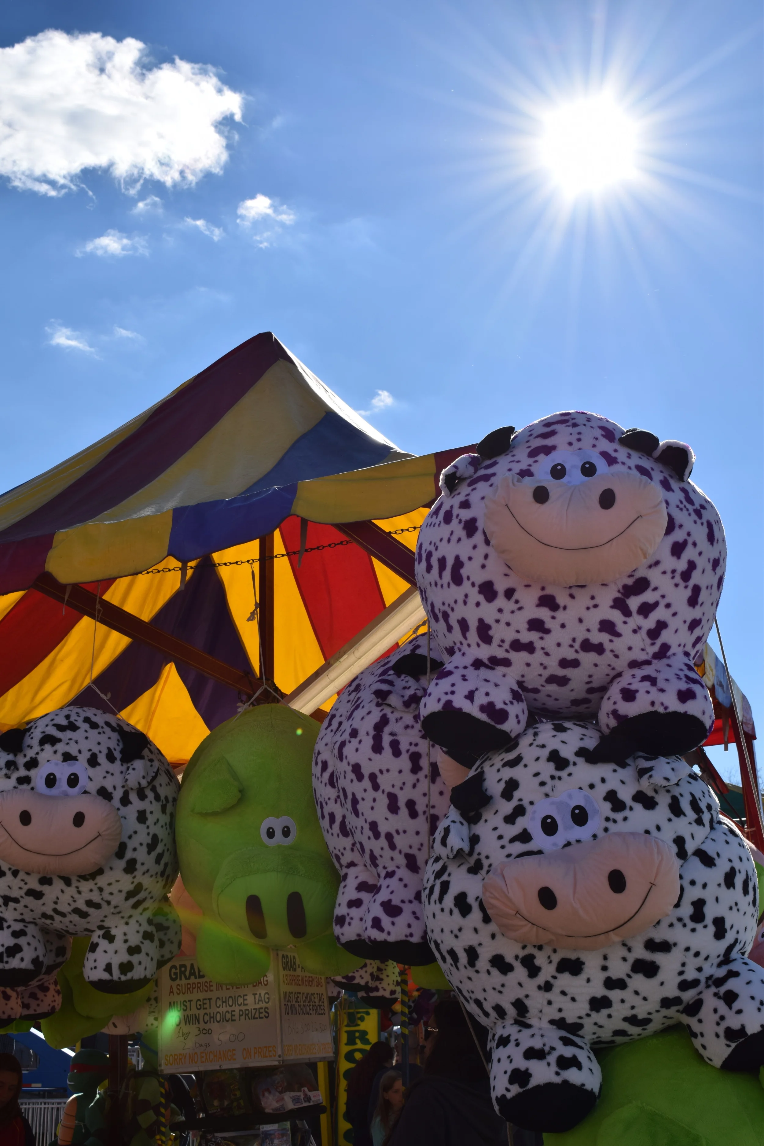 Don't YOU want a huge puffy animal to take home?