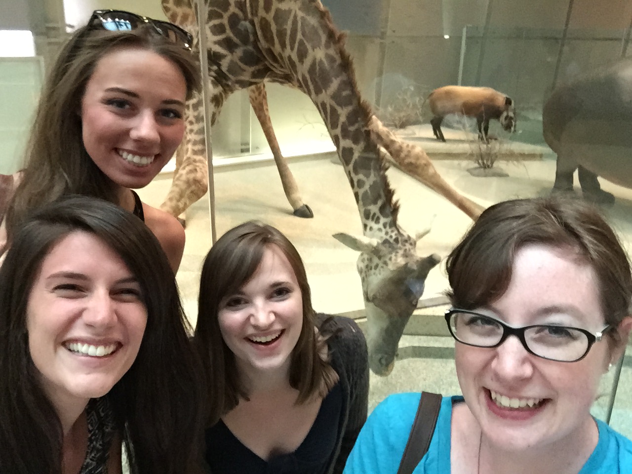 Once we lucked out and got to go to a Smithsonian on a business trip. 