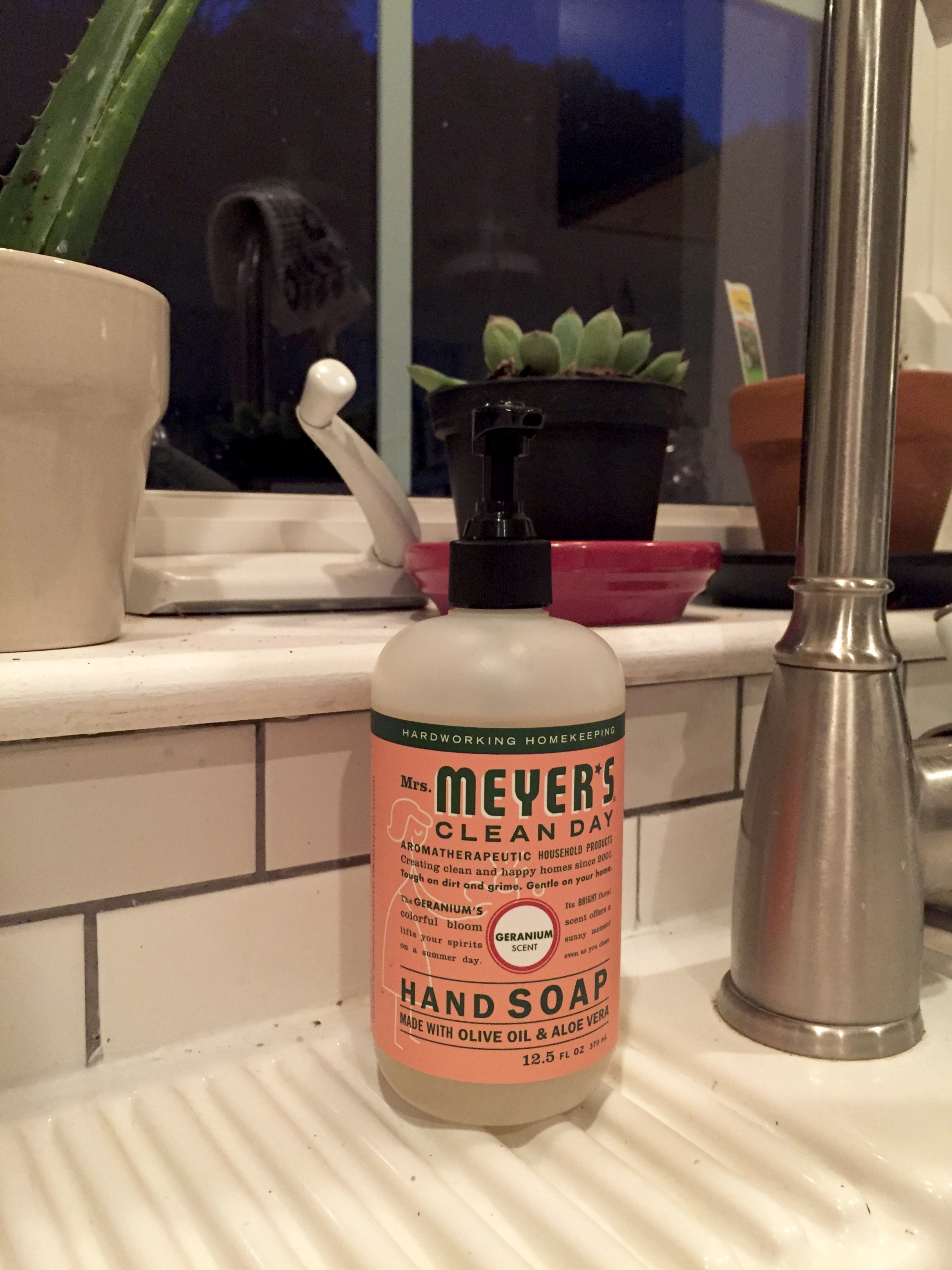 Please ignore the black speckles on my sink. They have since been cleaned.