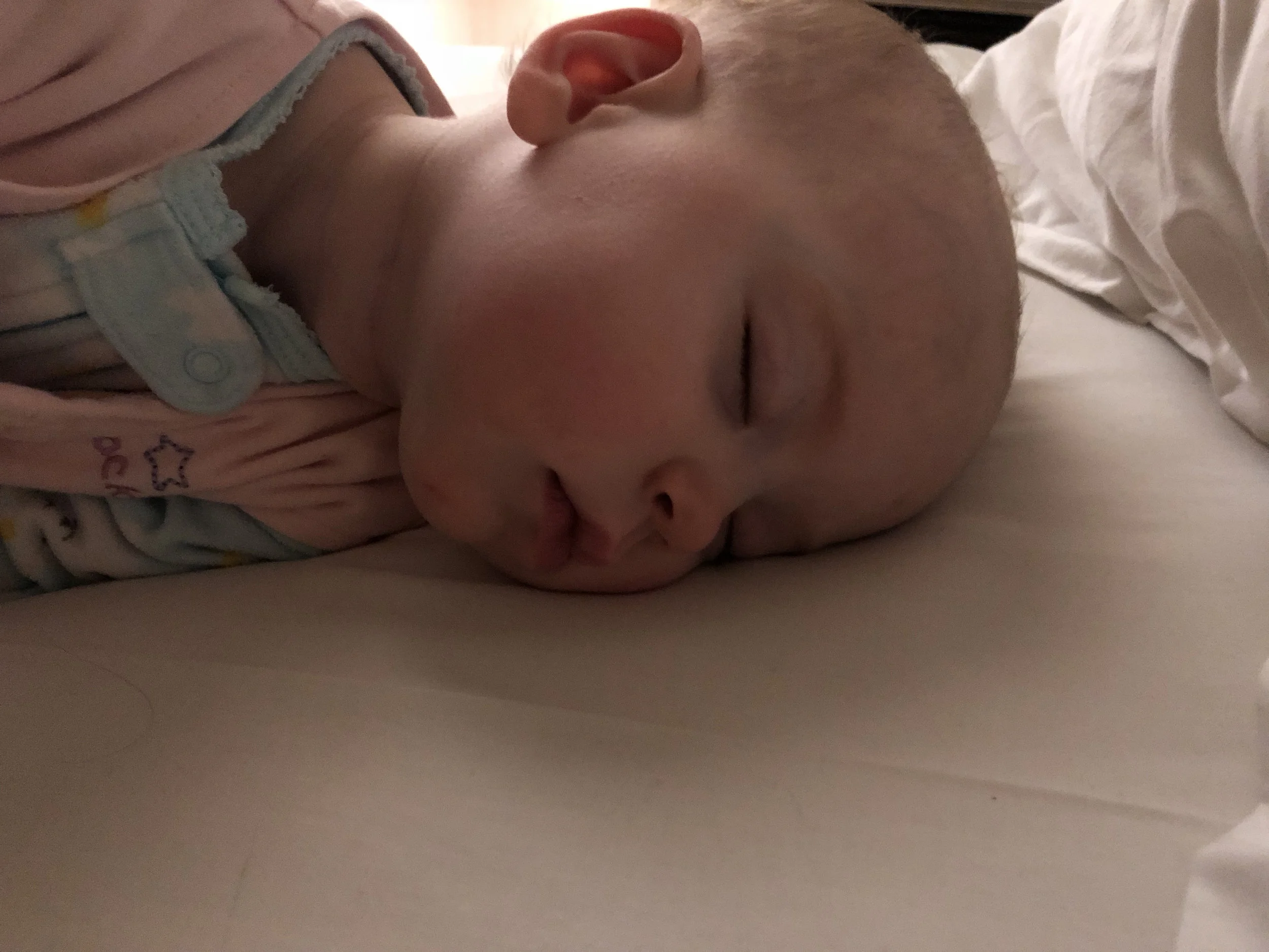 20180302_072311207_iOS.jpg