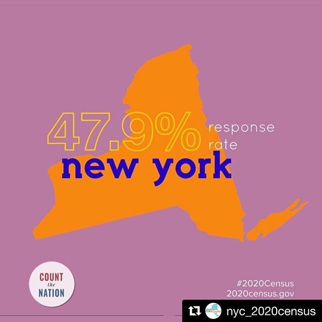 Now is the time to stand up and be counted! New York has been losing out on millions of dollars in federal funding due to a census undercount. In addition to vital federal funding, New York stands to lose TWO CONGRESSIONAL SEATS. Want to help? Volunt