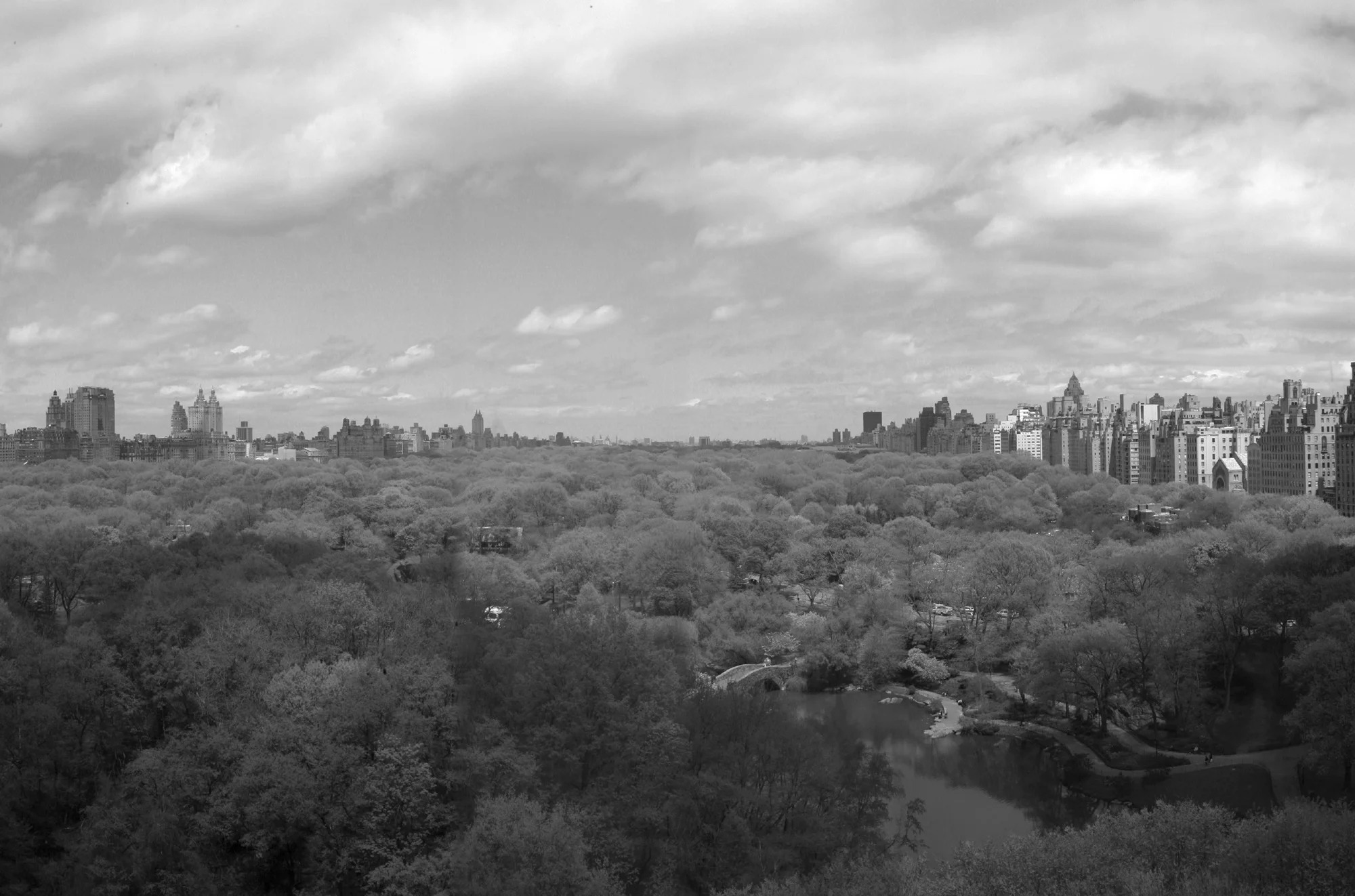 Central Park Overhead_NYC.jpg