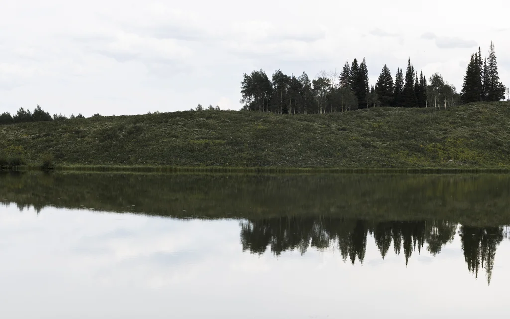 REFLECT-3514.jpg