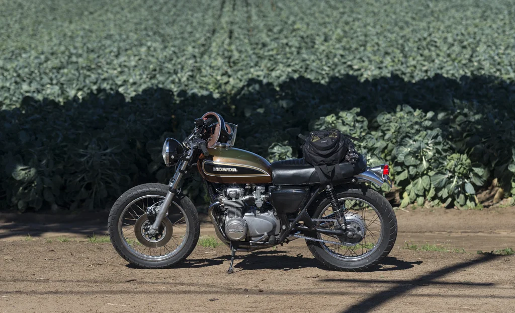 MOTOFIELD-6467.jpg