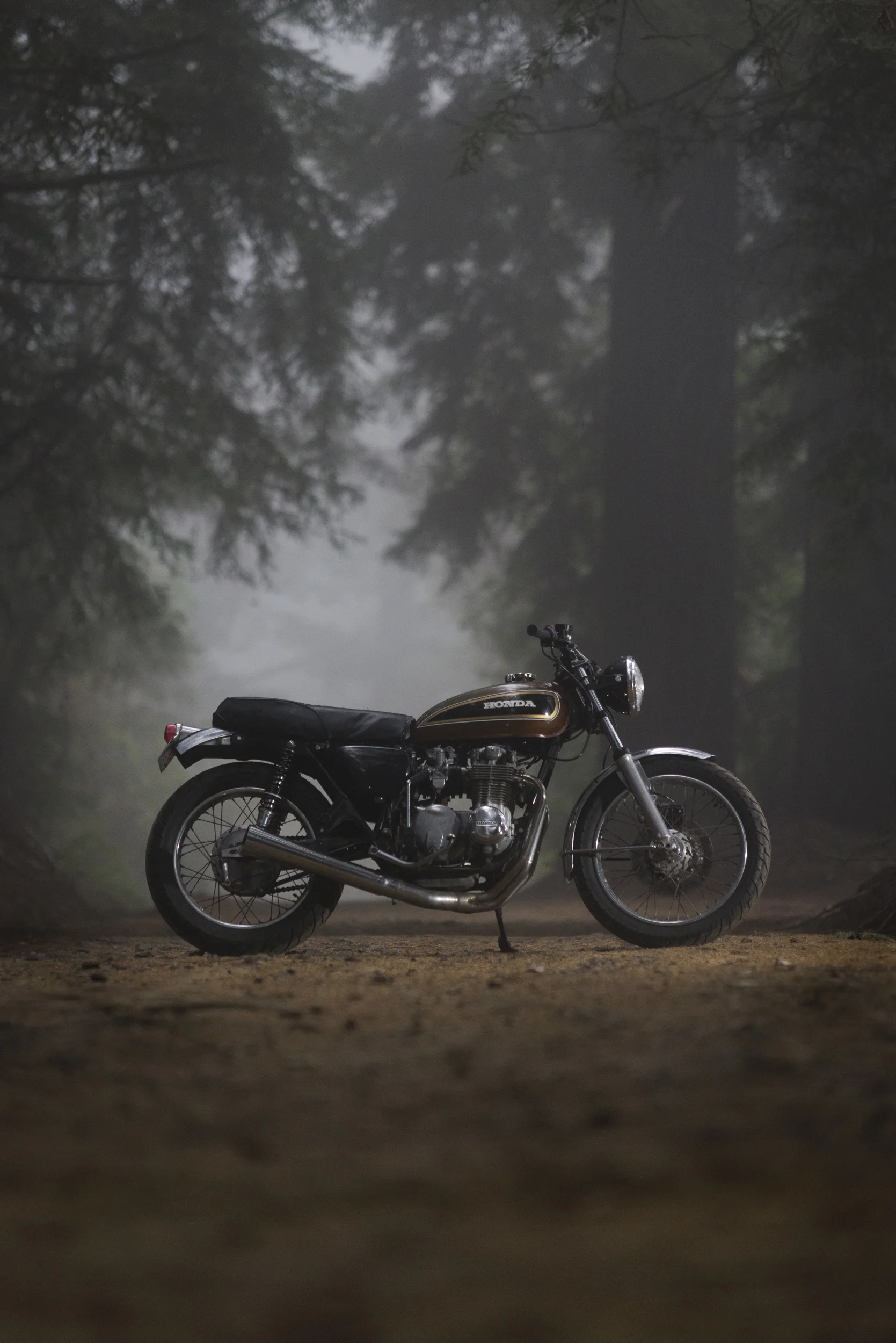 BIKEWOODS-8150.jpg