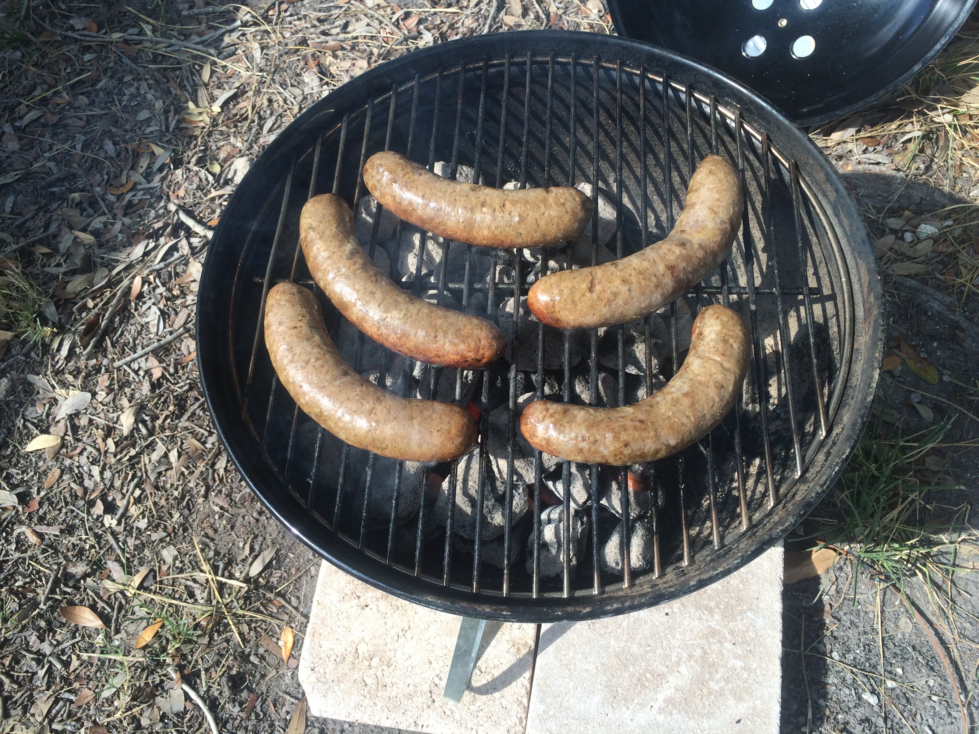 Bison Sausages