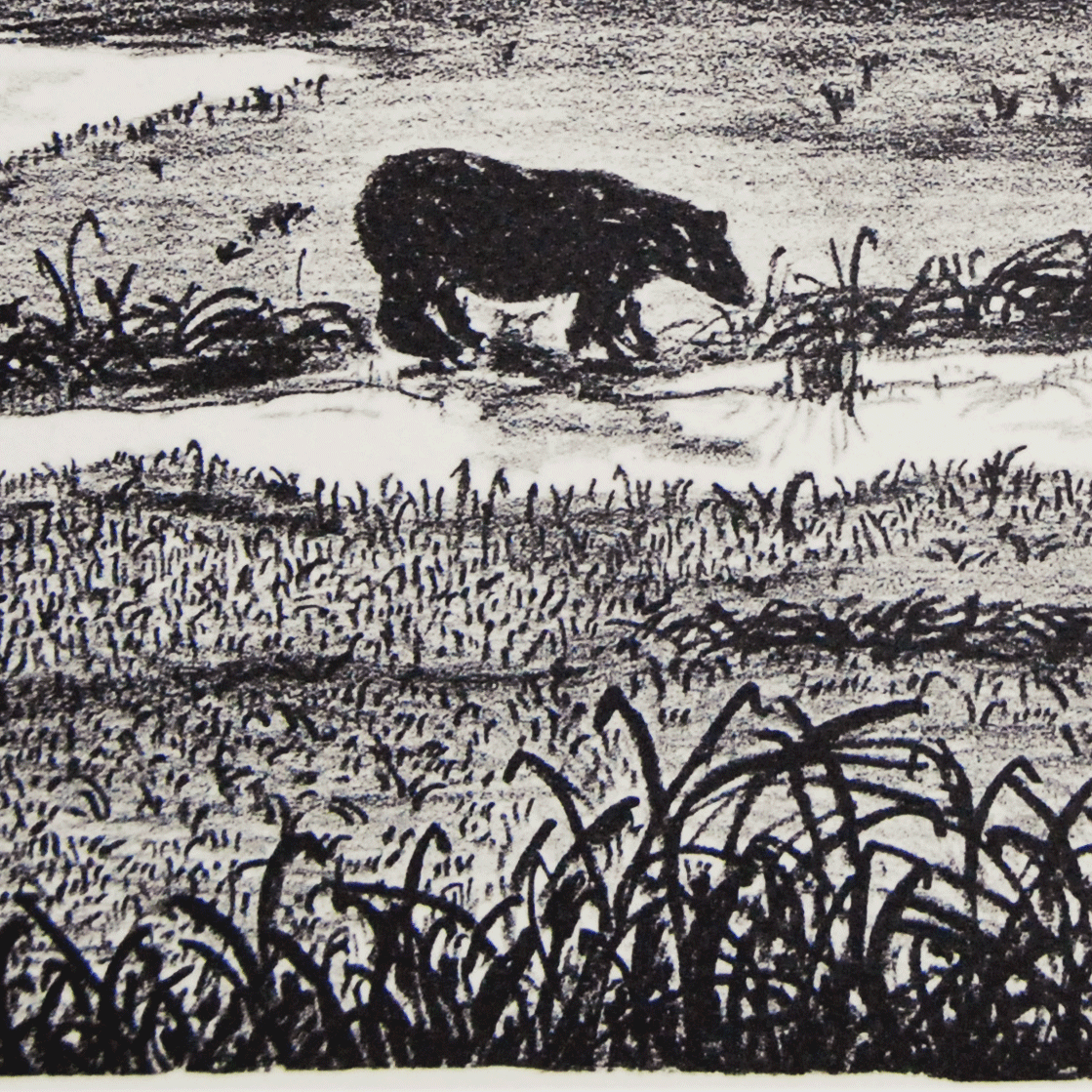 Alaskan-Bear-blackwhitezoom.png