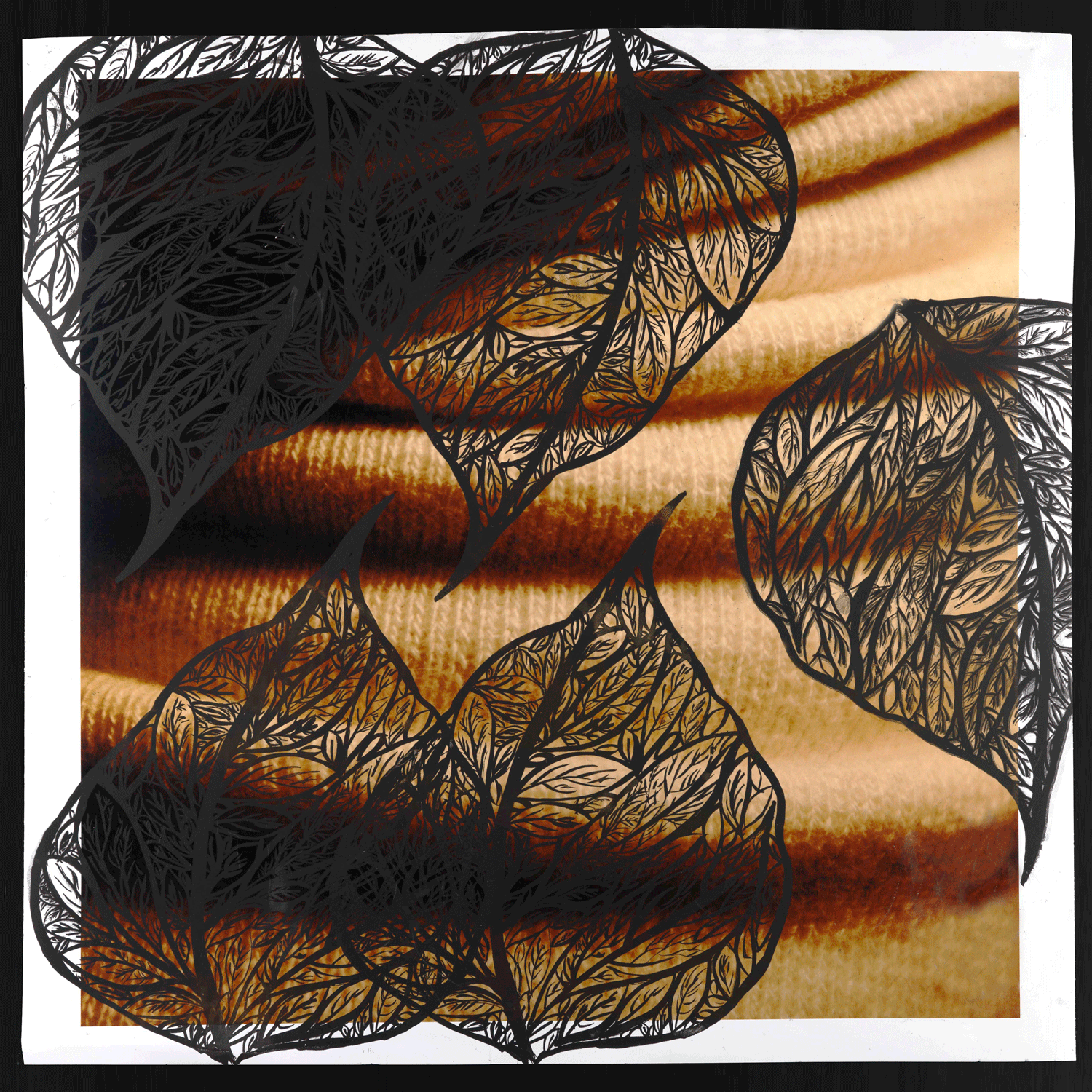 Ambika-Roos.9b.png
