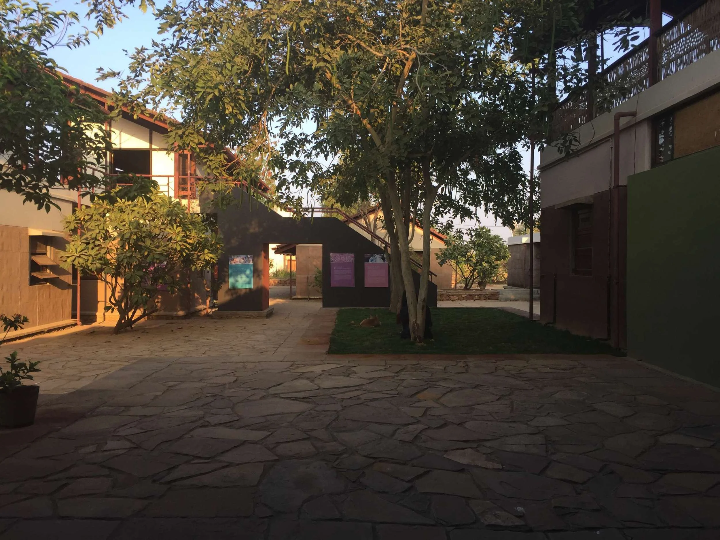 Introducing digital tools to a rural nonprofit
