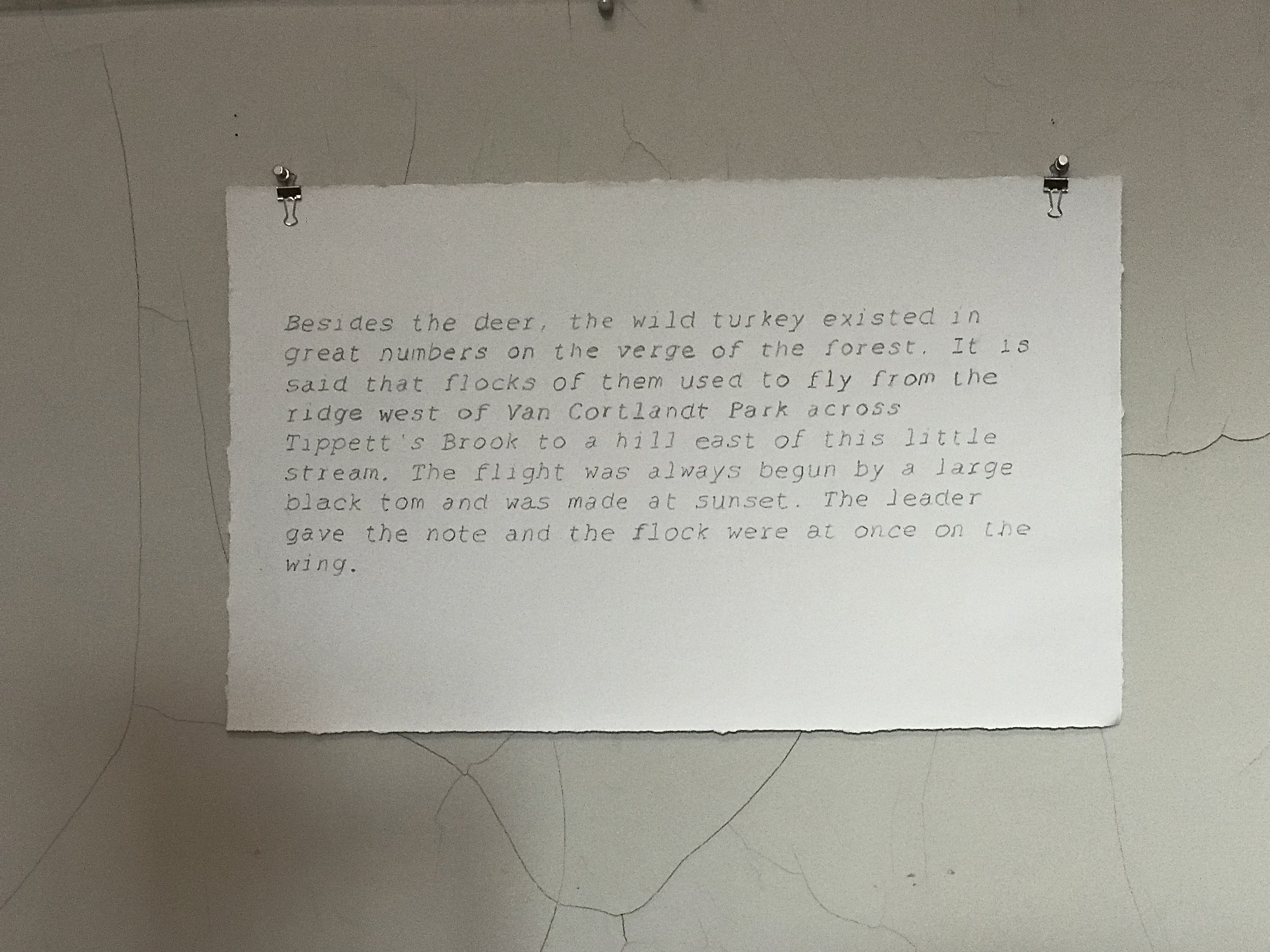 fullsizeoutput_415.jpeg