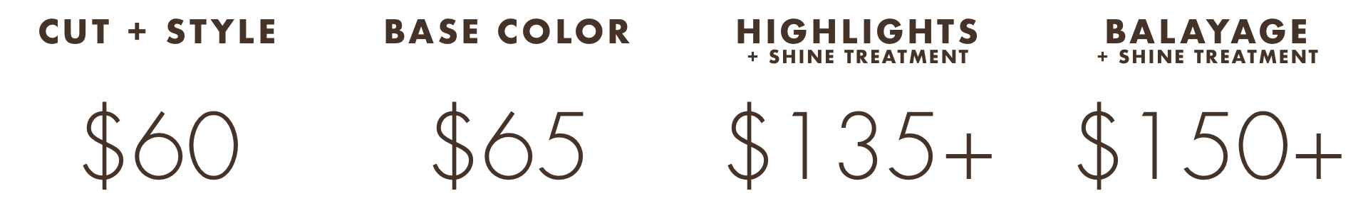 Stylist Pricing Web Insert New.png
