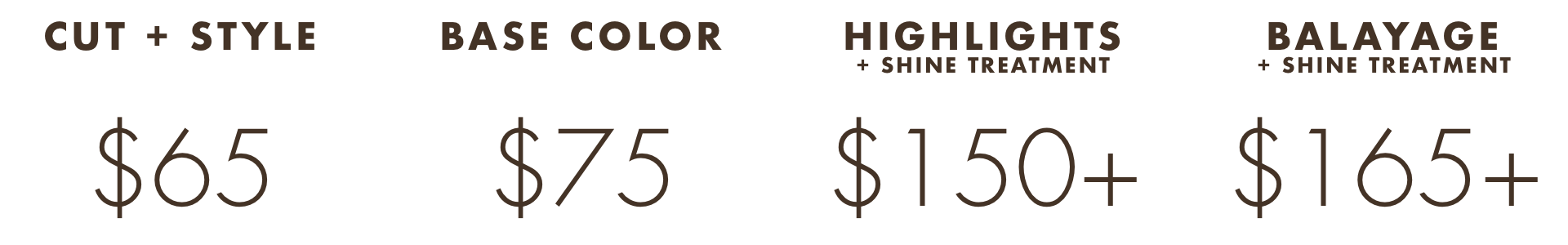 Stylist Pricing Web Insert.png