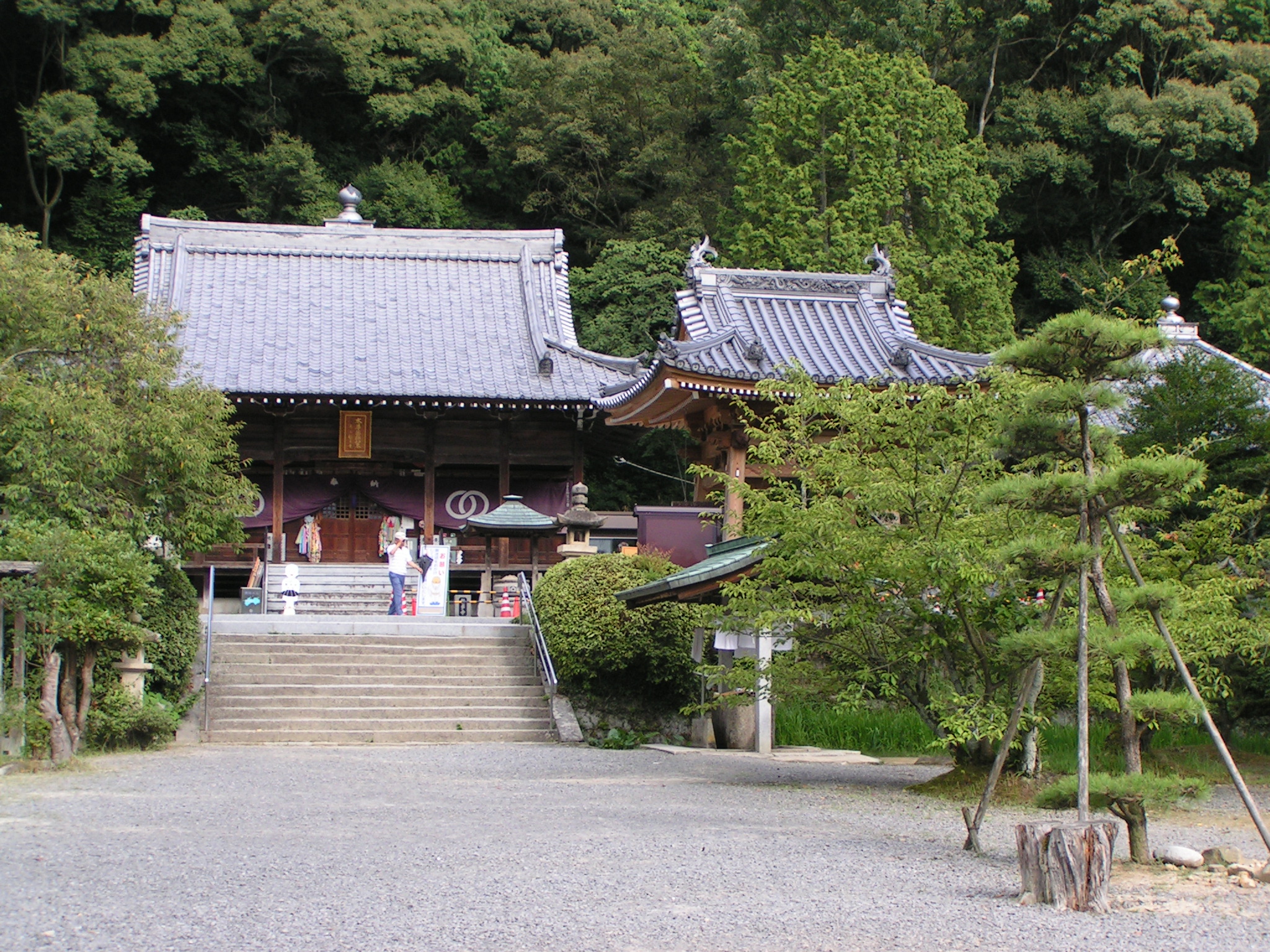 Hantaji, the 50th