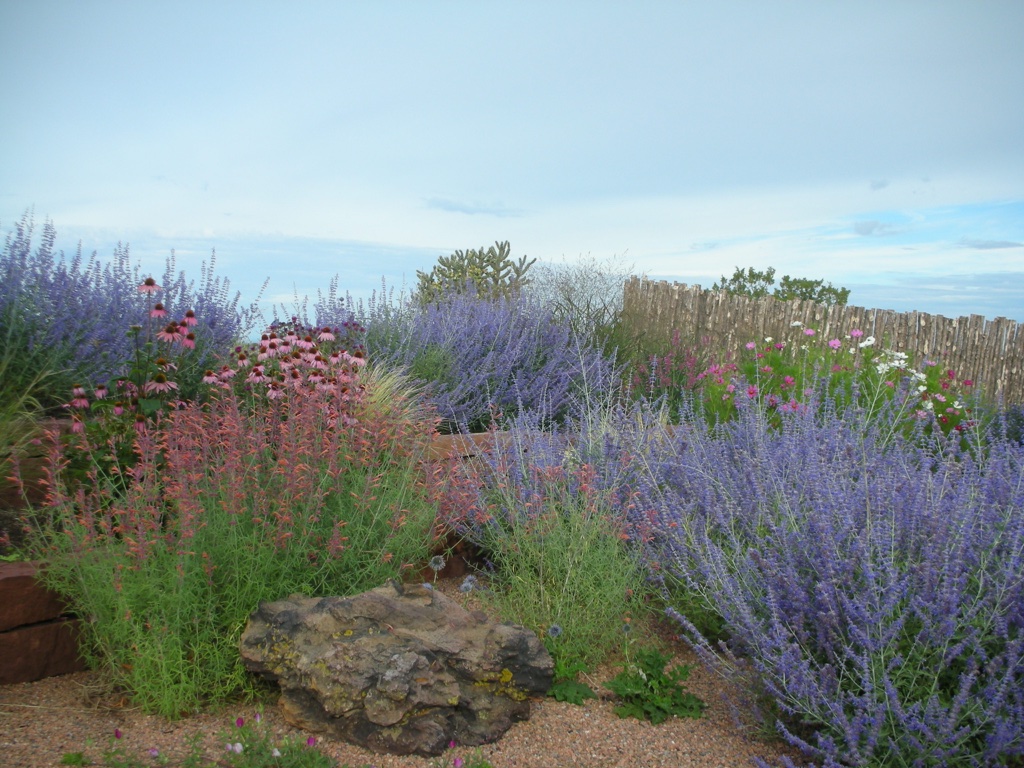Native Bloom Landscaping, Landscaping Santa Fe Nm