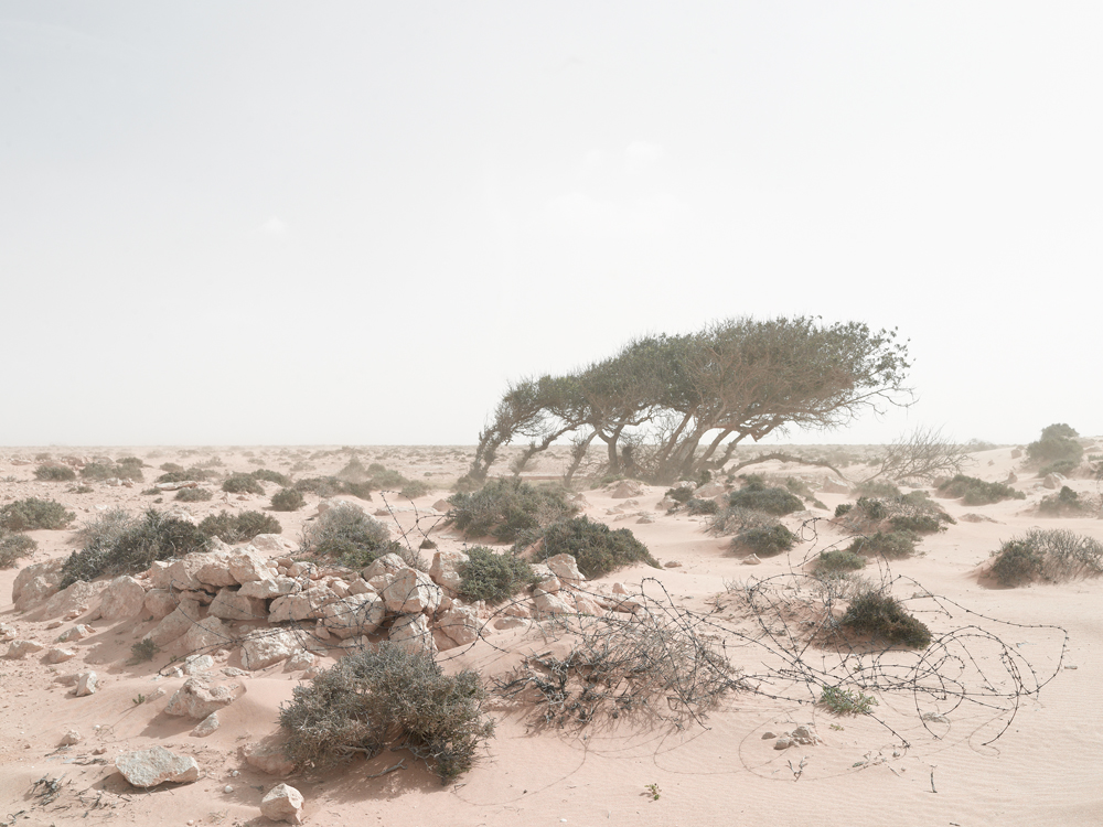 Defensive Position in an Encroaching Sandstorm, Alem Hamza Battlefield, Libya