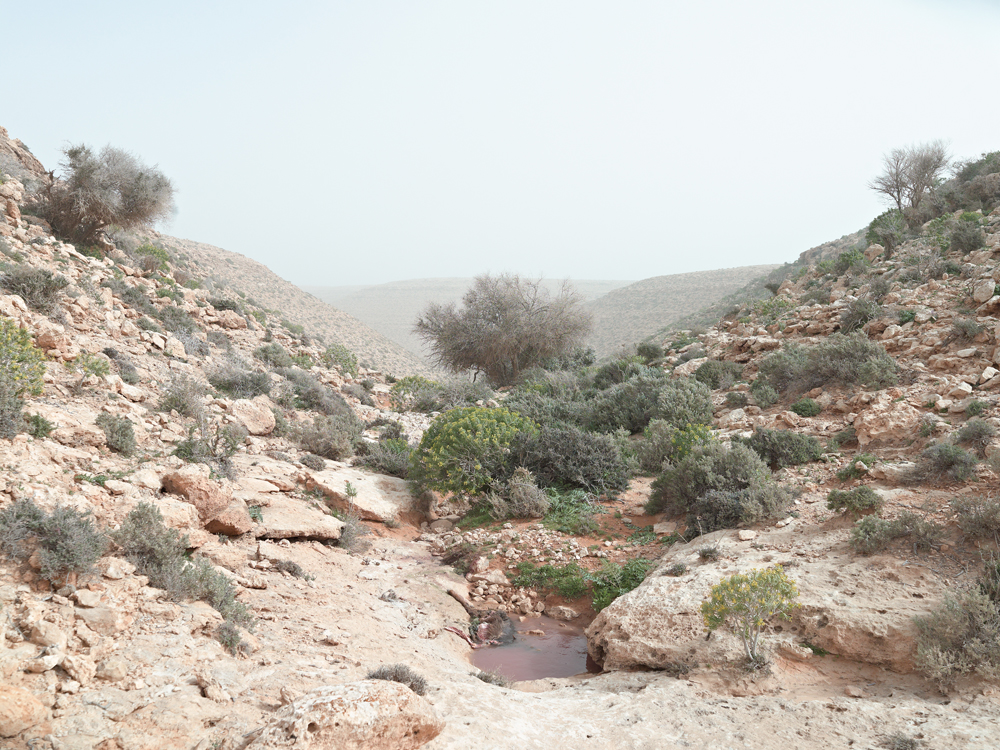 Watering Hole, Wadi Zitoune Battlefield, Libya