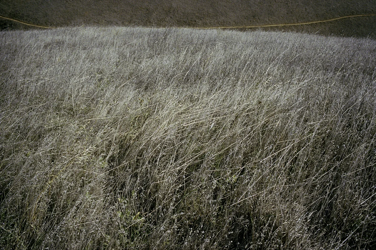 unnamed-2.jpg