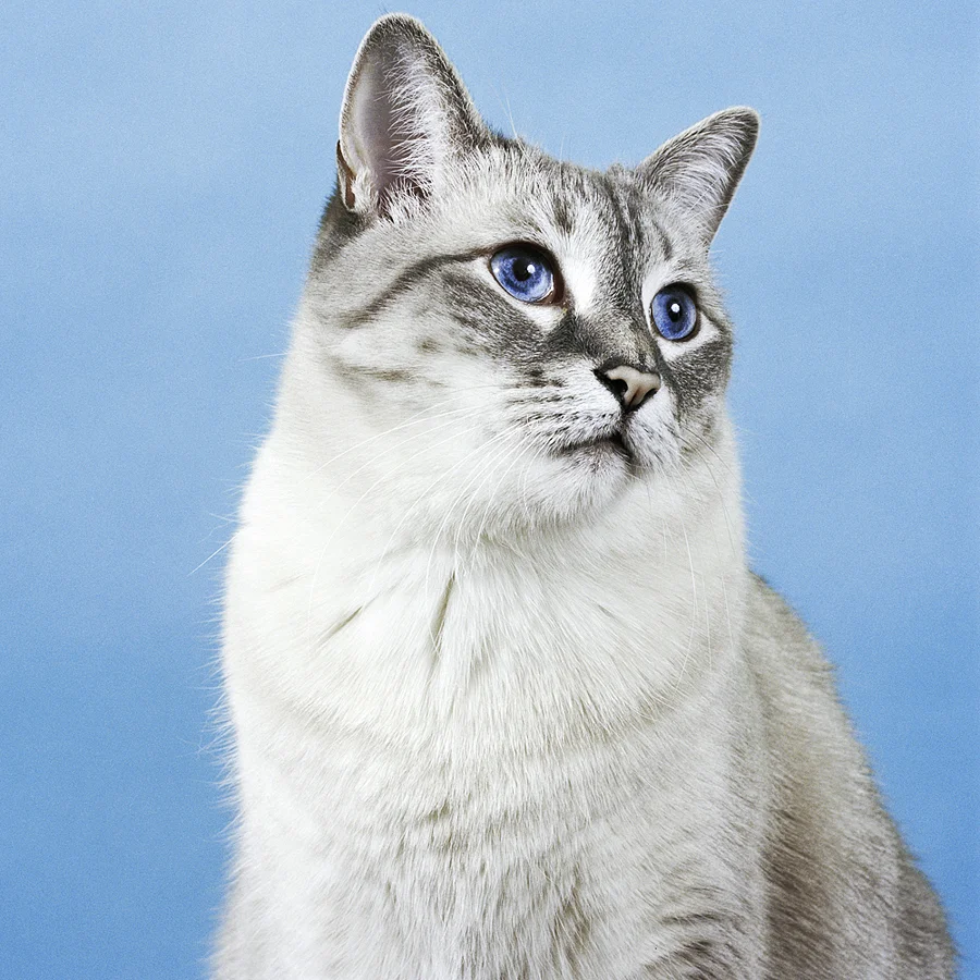 Odette  ©Jamie Campbell