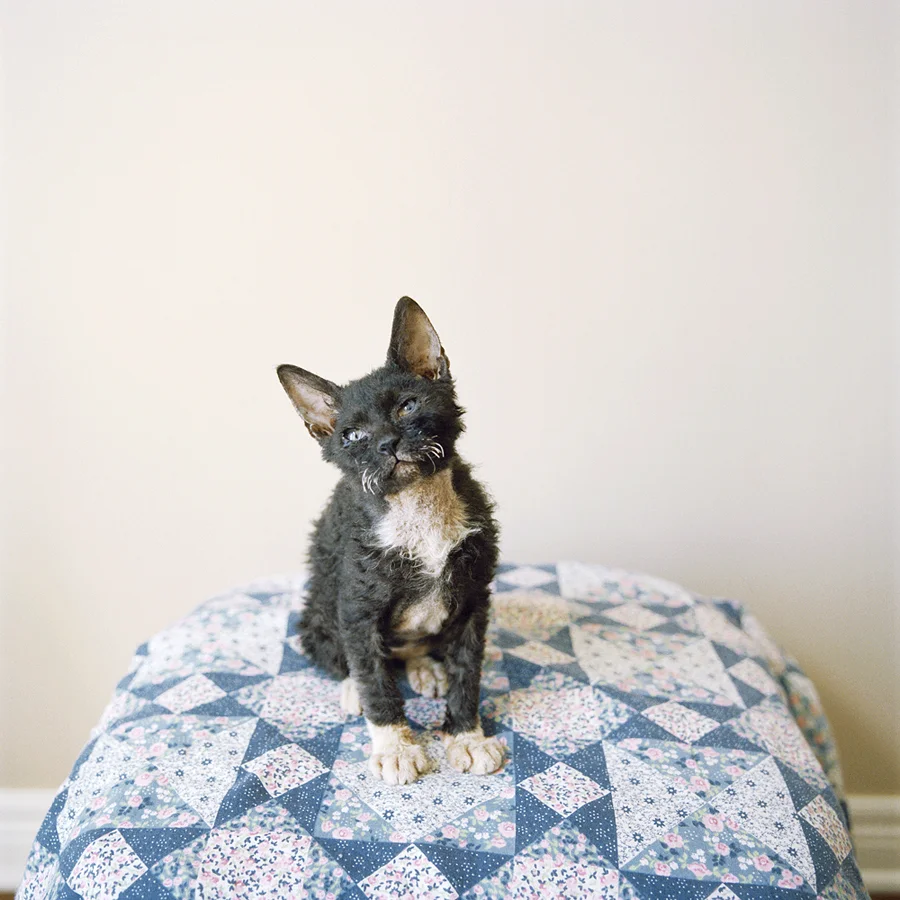 Zeus  ©Jamie Campbell