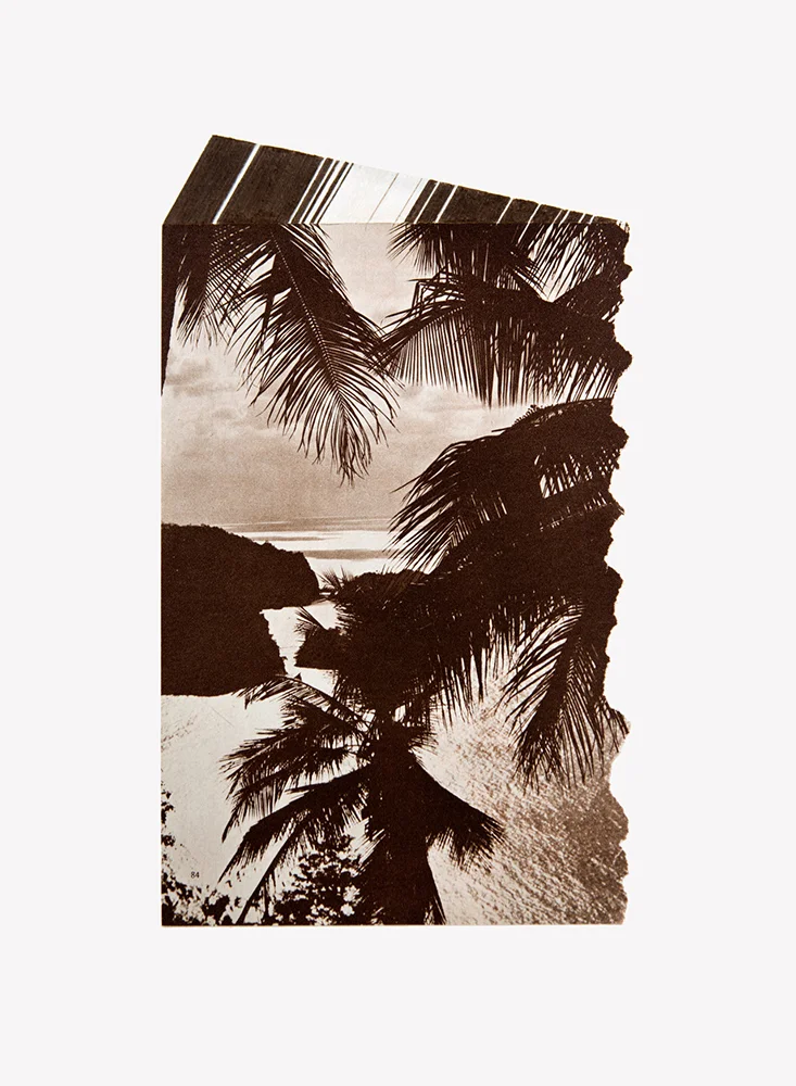 Slice of Paradise, 2015 © Joe Rudko