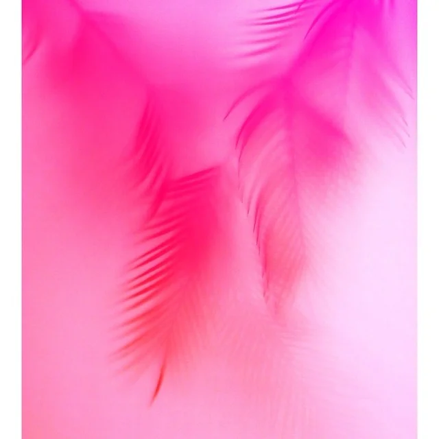 © Noel Rodo Vankeulen // @noelrv