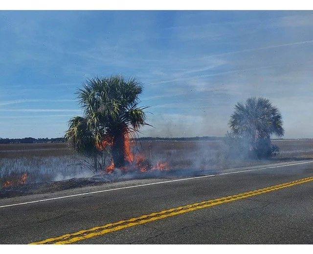 © Stephen Milner // @stephenmilner