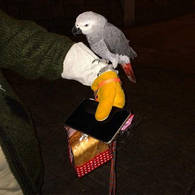 © Sean Ellingson // @seanellingson