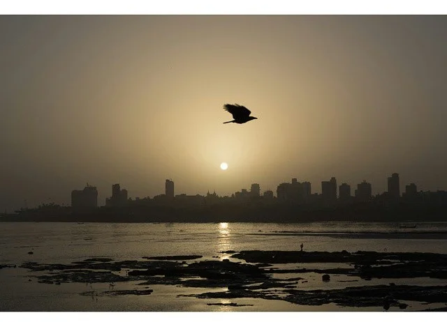 © Chirag Wakaskar // @chiragwakaskar