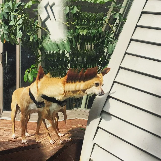 © Anastasia Samoylova // @anasamoylova