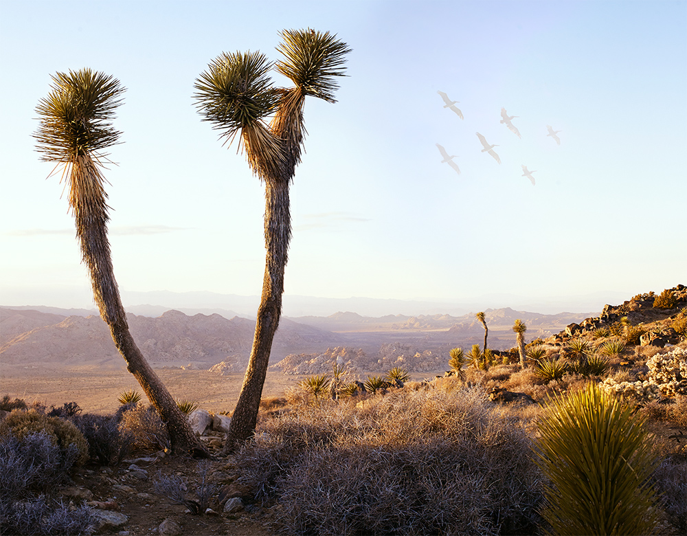 © Sadie Wechsler