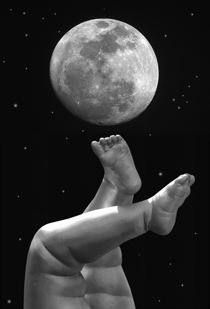 Image Courtesy of Shutterstock