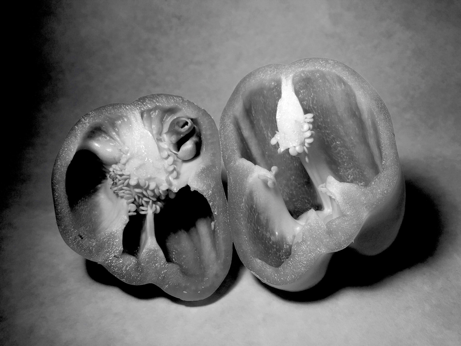 © Ginny Rufner
