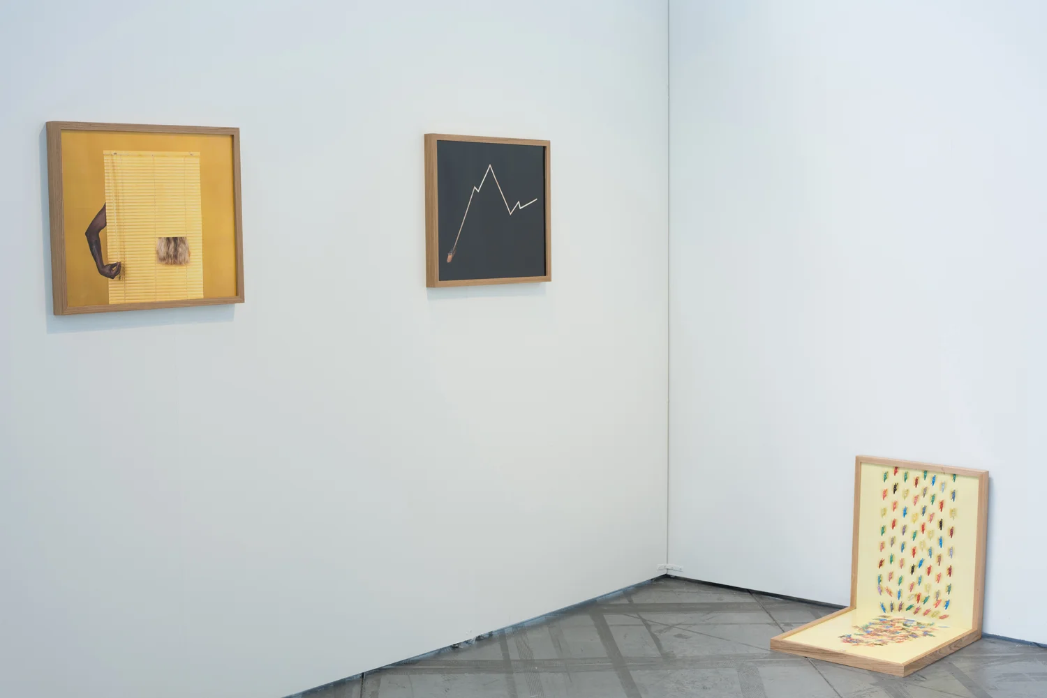 Installation view from Marcela Prado Ariza's thesis exhibition