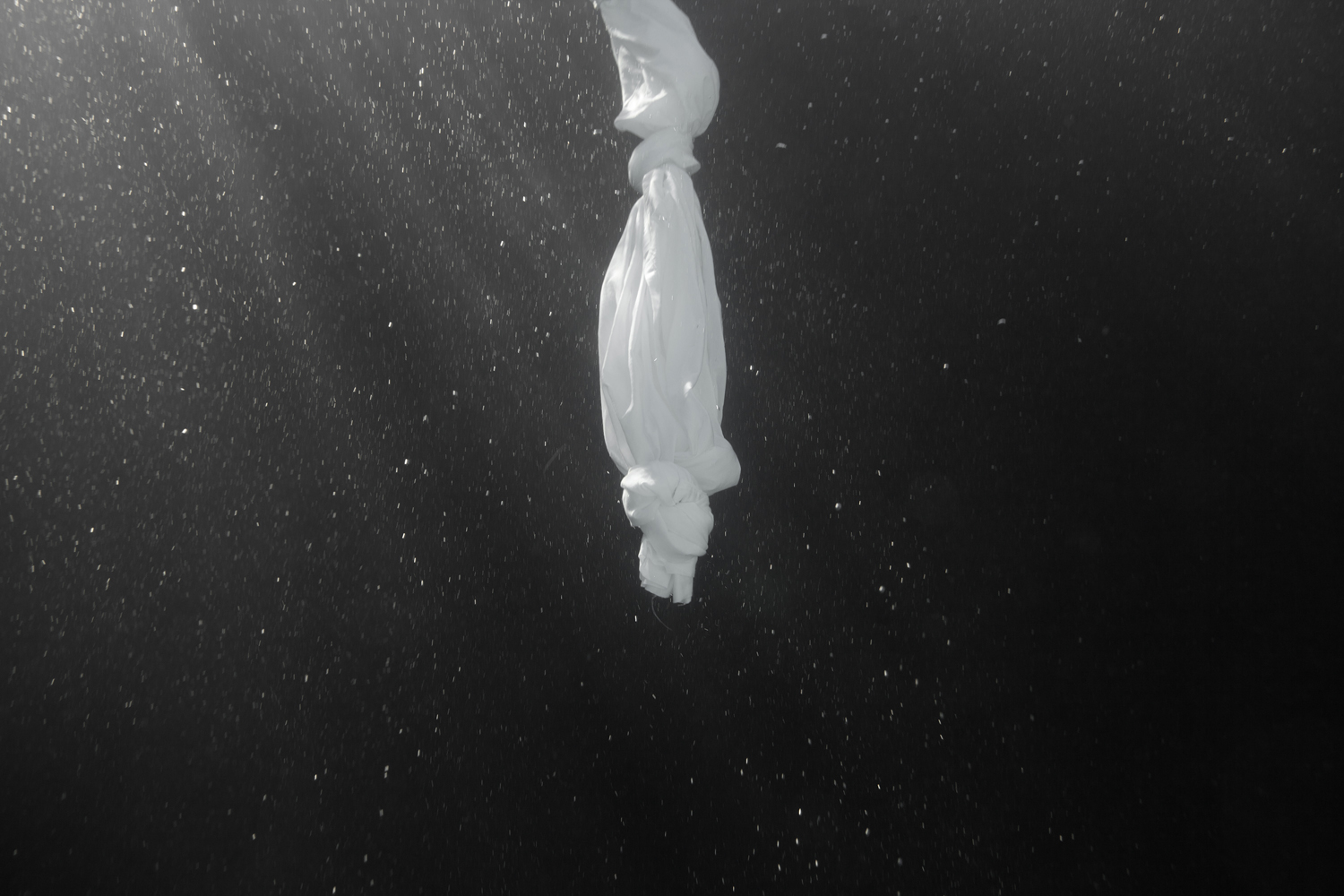 © Christine Spillane