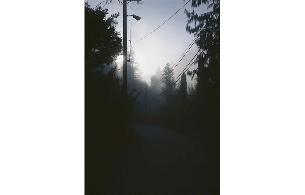 © Brian Z. Shaprio
