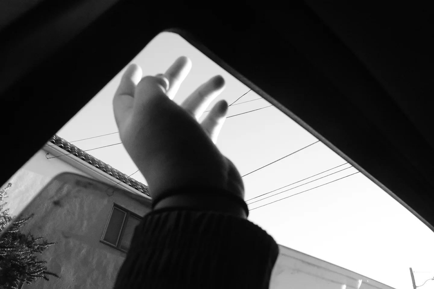 © Paola Marquez, age 14. Fall 2015