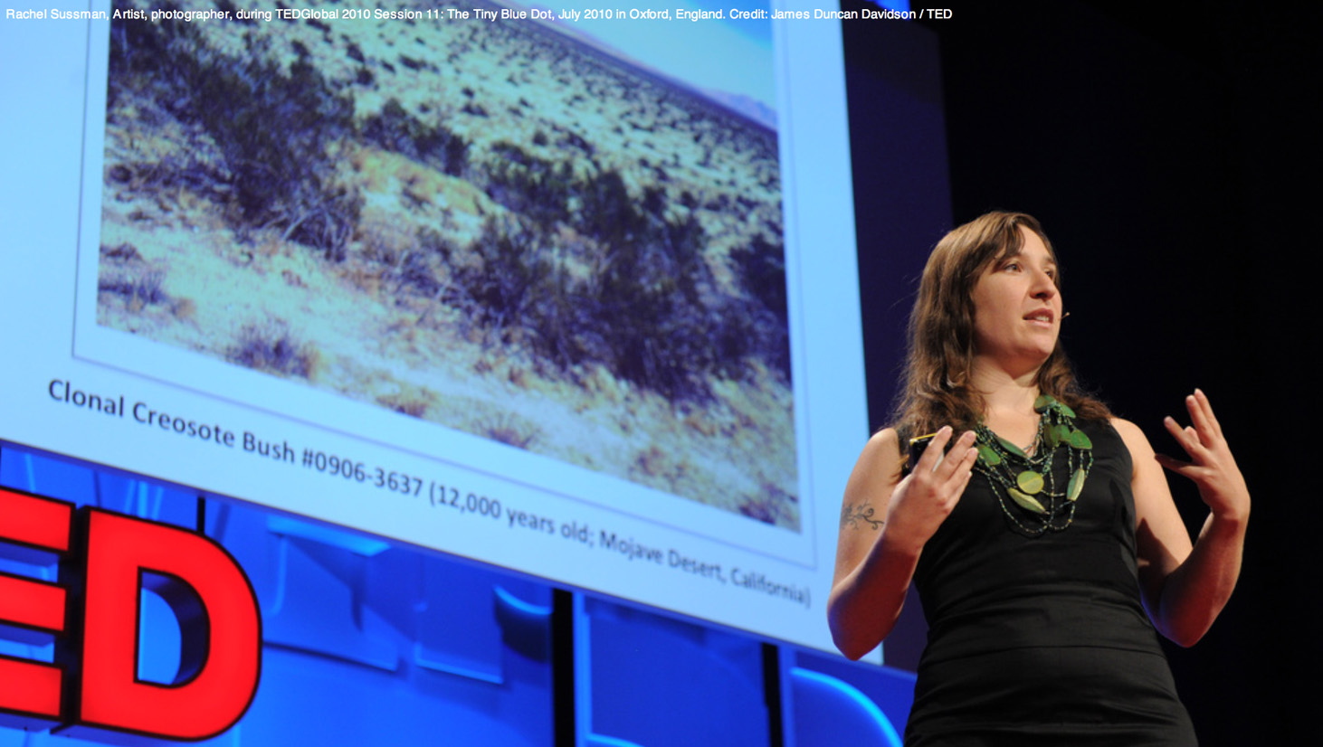 Rachel Sussman speaking at TED 2010. Image credit: James Duncan Davidson / TED - courtesy of Rachel Sussman