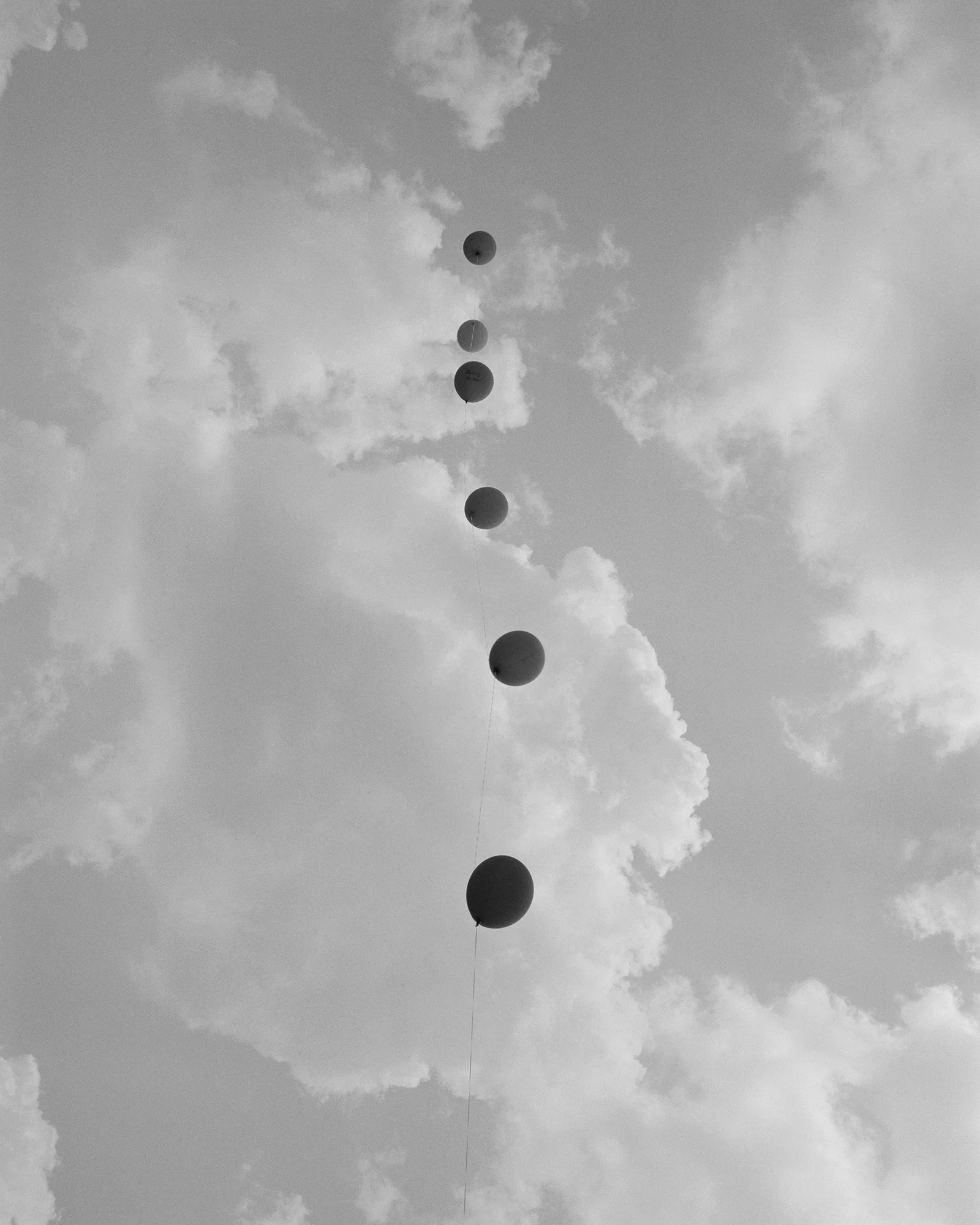 © Shane Lavalette